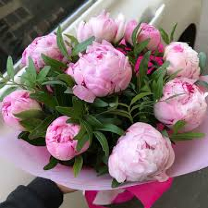 Пион древовидный в Рудном