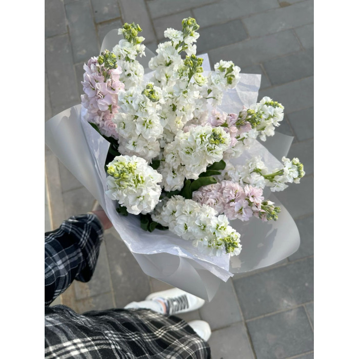 Маттиола в Рудном