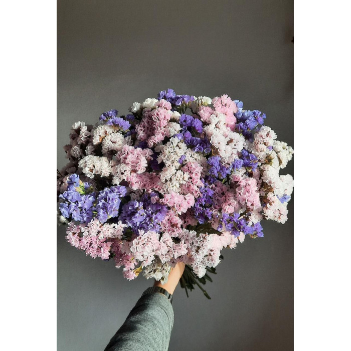 Статица (Лимониум) в Рудном