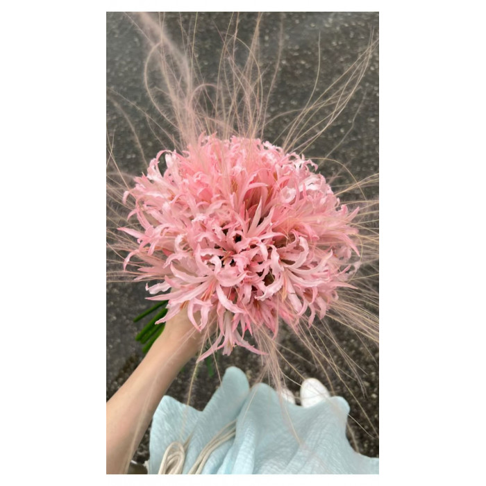 Нерине в Рудном