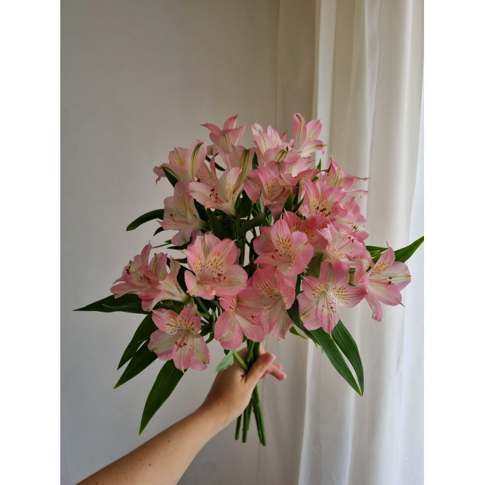 Альпиния в Рудном