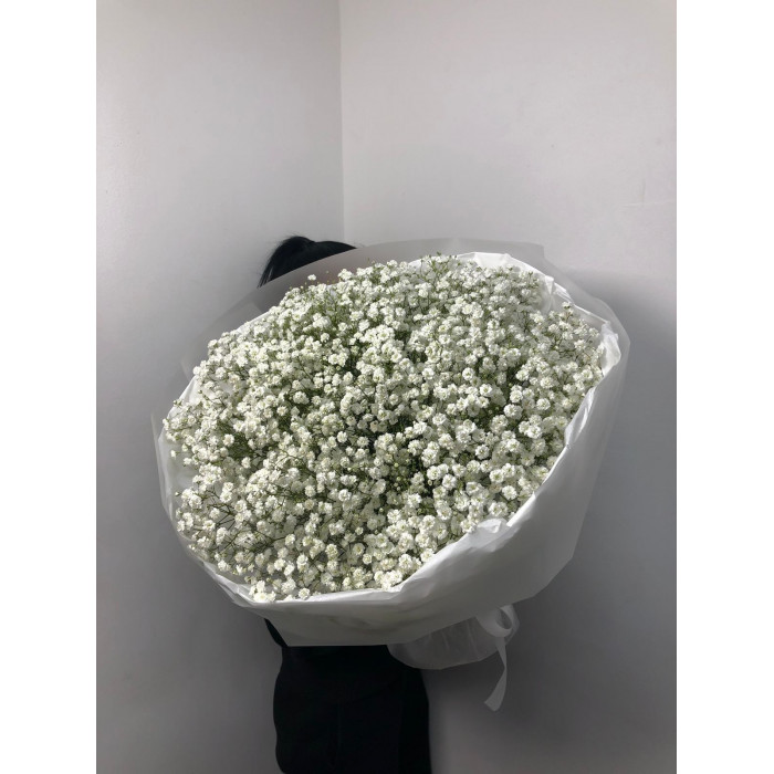 Гипсофила классическая в Рудном