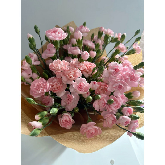 Кустовые гвоздики в Рудном