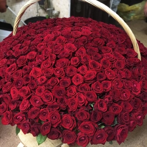Купить на заказ 1001 роза с доставкой в Рудном