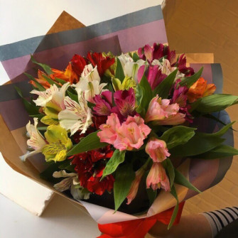 Белый мишка